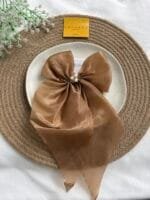 Elegant Hair Bow Clip 🎀 2064