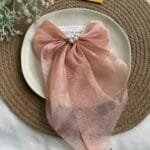 Elegant Hair Bow Clip 🎀 2065