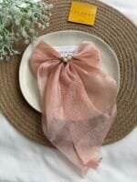 Elegant Hair Bow Clip 🎀 2065