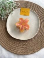 Aesthetic Ombré Claw Clip 🌸 2096