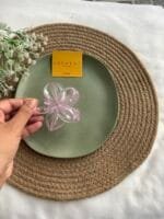 Cute Transparent Claw Clip 🌸 2103 - Image 2