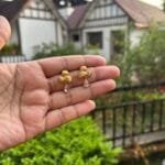 Beautiful Golden Earrings 😍