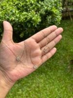 Beautiful Oval stone design Necklace✨ - Image 2